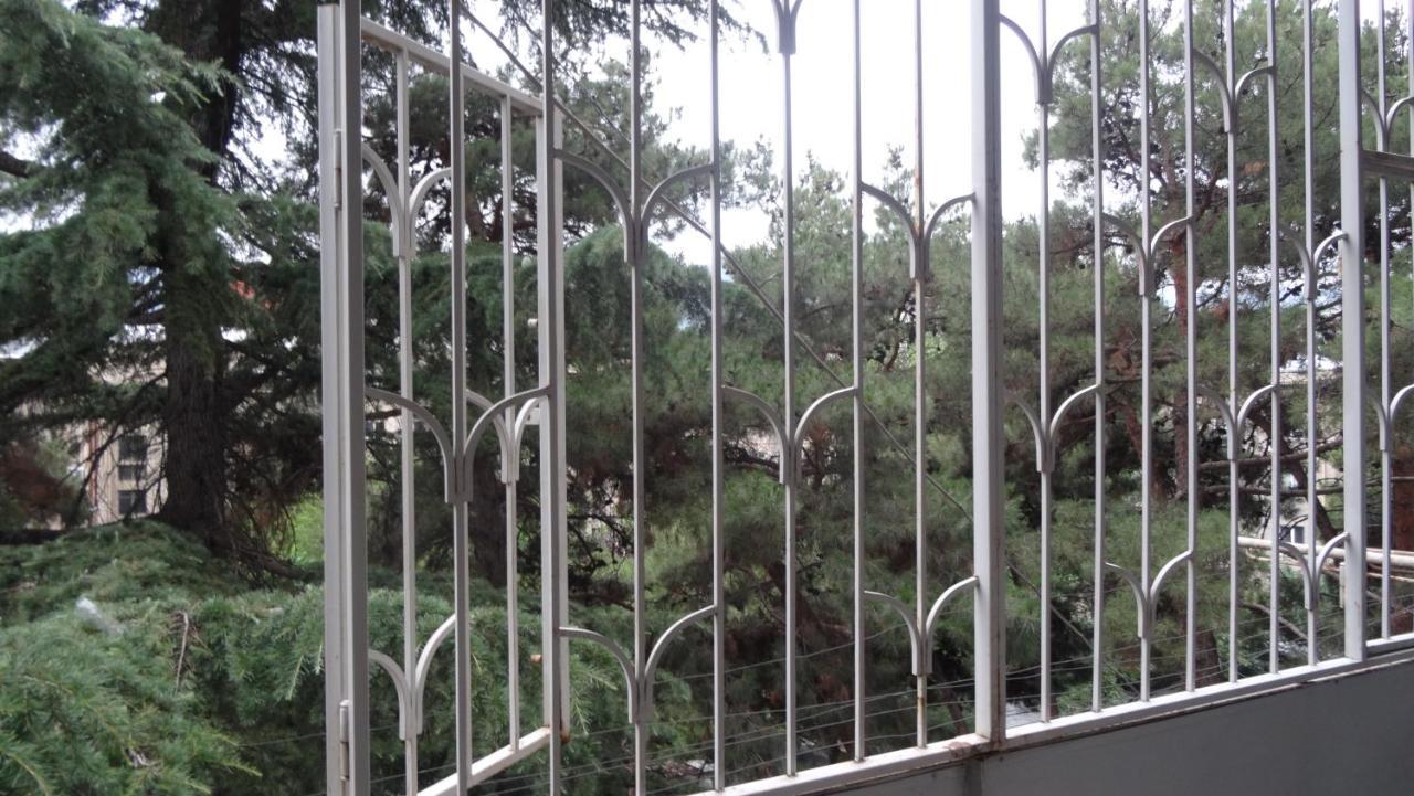 Apartment Vake-Saburtalo Tbilisi Ngoại thất bức ảnh
